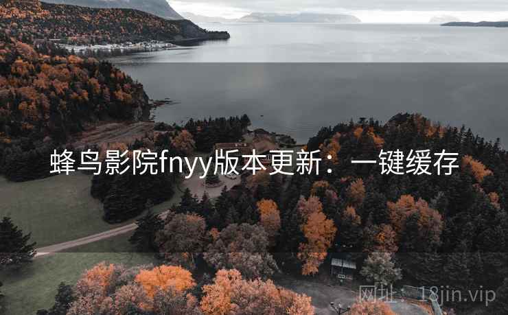 蜂鸟影院fnyy版本更新：一键缓存